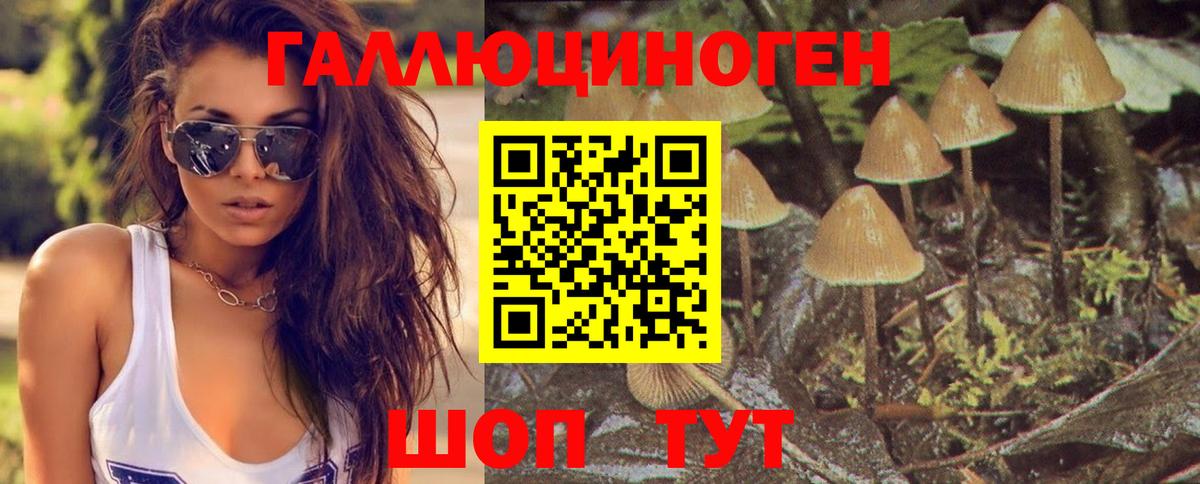 Псилоцибиновые грибы мицелий Волгоград